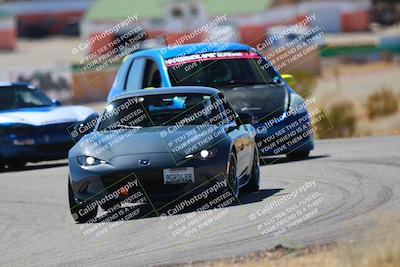 media/Mar-08-2025-Extreme Speed (Sat) [[4abb97269e]]/Purple/Turns 2  and  4 (Session 2)/